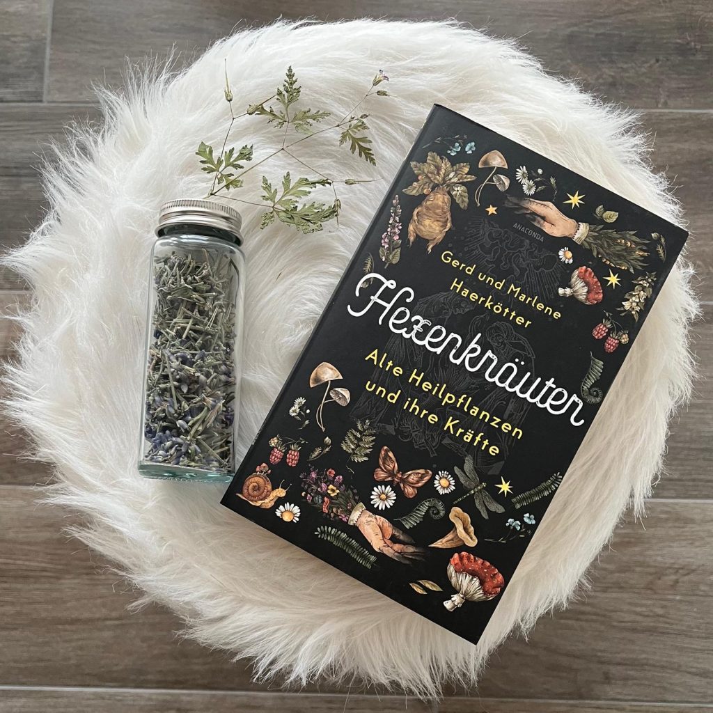 The non-fiction book "Hexenkräuter: Alte Heilpflanzen und ihre Kräfte", alongside dried lavender and herbs on white fur.
