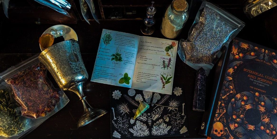 Willkommen bei WintiWitches! Ein dekoratives Hexen-Buch, Zutaten für Tränkebrauen und ein edler Kelch.